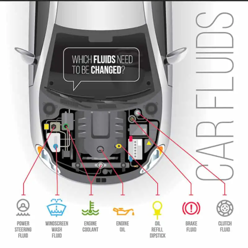 Diagram of different car fluids and where they go.