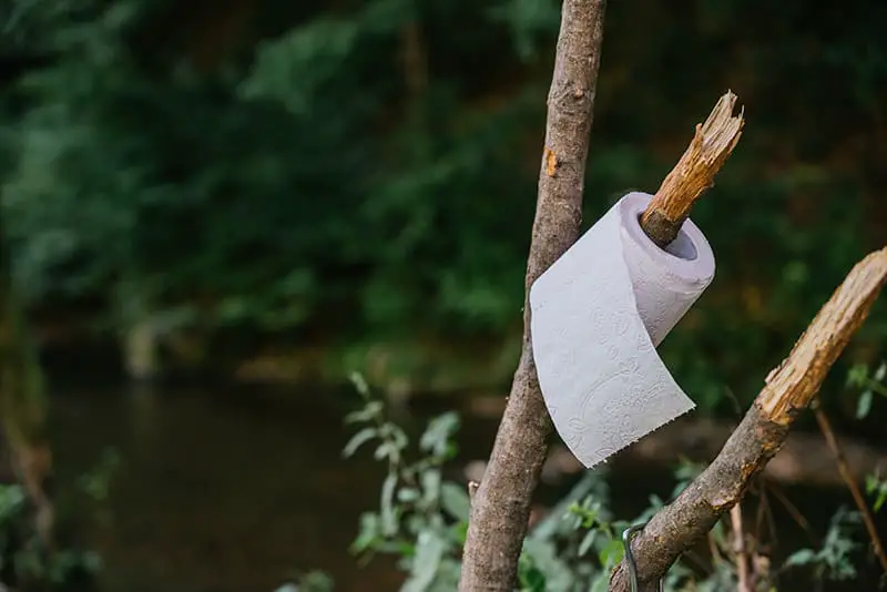Toilet paper roll hanging on tree.